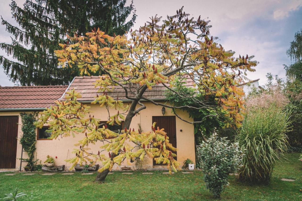 Pannonia Apartment God Luaran gambar